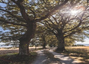 House | View from property - Tuscan Getaway With Garden (Montalcino)