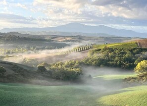 House | View from property - Group Retreat With Garden in Tuscany (Montalcino)