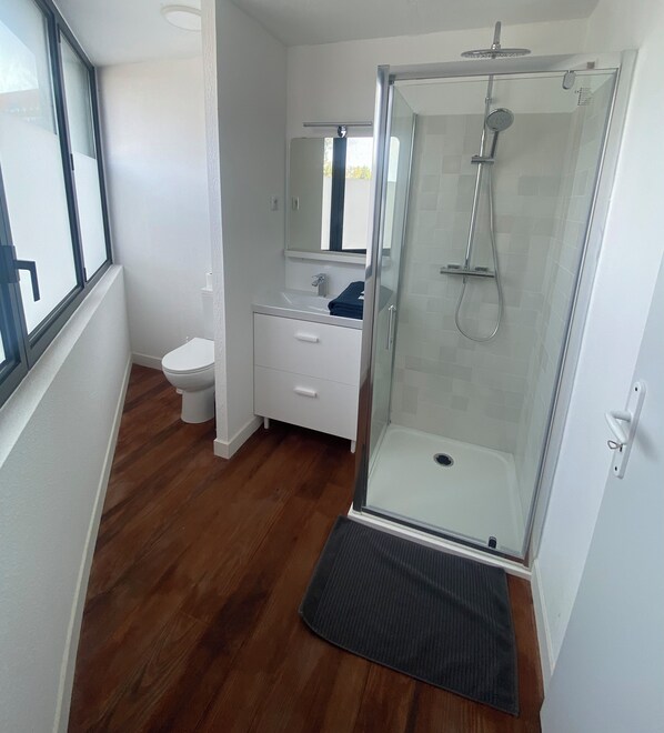 Hair dryer, towels, toilet paper - Two-room apartment  (Talence)