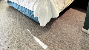 A neatly made bed with white linens in a room with blue walls, a framed picture on the wall, and a window with curtains. - The Bond Inn Room #2 (Warrensburg)