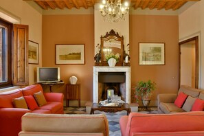 Télévision, cheminée, chaîne hi-fi