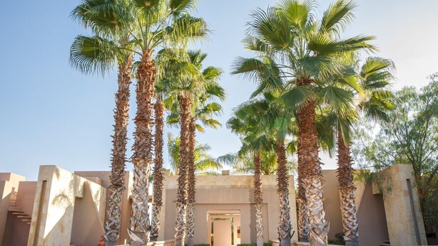 A pathway flanked by tall palm trees leading to a building with a beige facade and a central entrance. - Villa Azkar - Three Bedroom Villa, Sleeps 6 (Marrakesh)