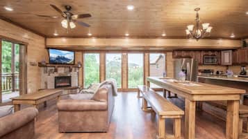 TV, fireplace, video games