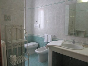 Shower, hair dryer, bidet, towels