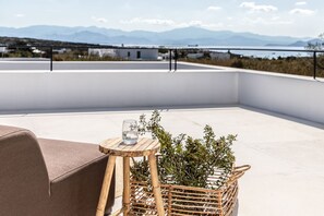 Terras