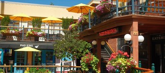 Lilac Home-Cozy home w/hot tub. Walking distance to Autzen, fine dining/shopping