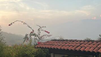 Vista da propriedade