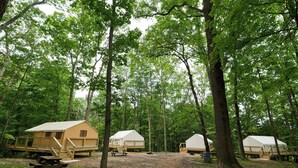 Ein Campingplatz mit drei Holzhütten, jede mit einer Holzterrasse und einem Picknicktisch.