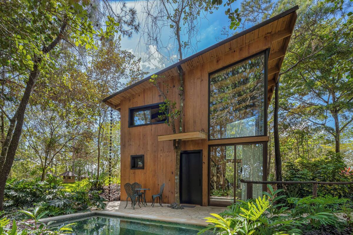 A modern wooden cabin with a glass extension, surrounded by lush greenery and a swimming pool.