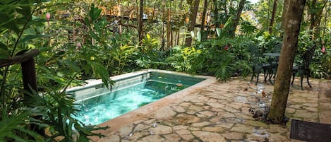 テラス / パティオ