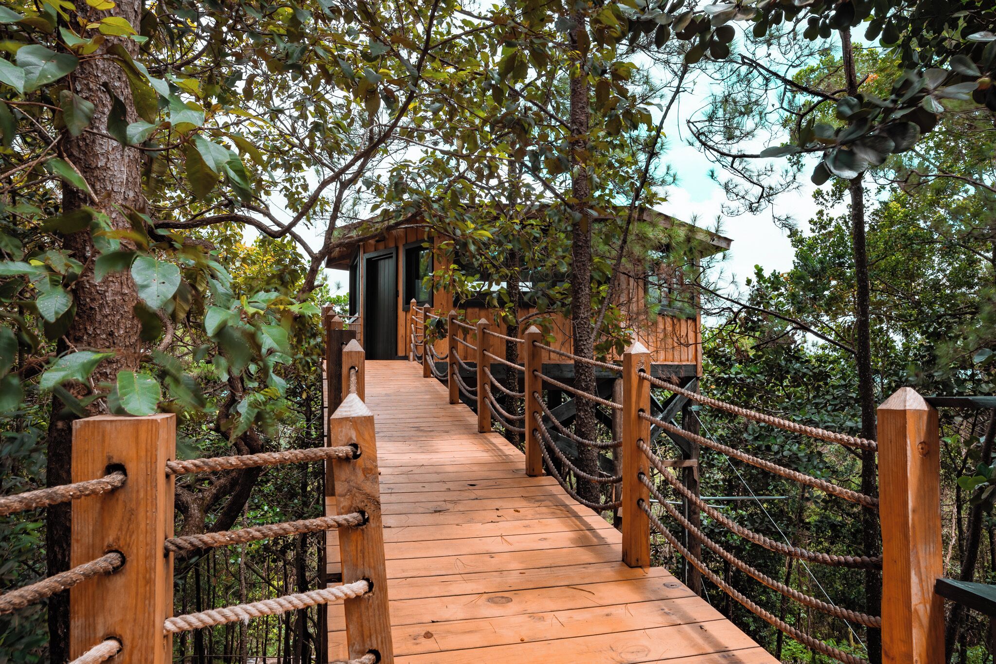 Tree House Deluxe, vue jardin