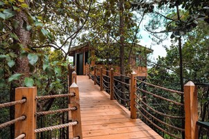 Ropa de cama de alta calidad, cubrecamas y colchones con pillow-top