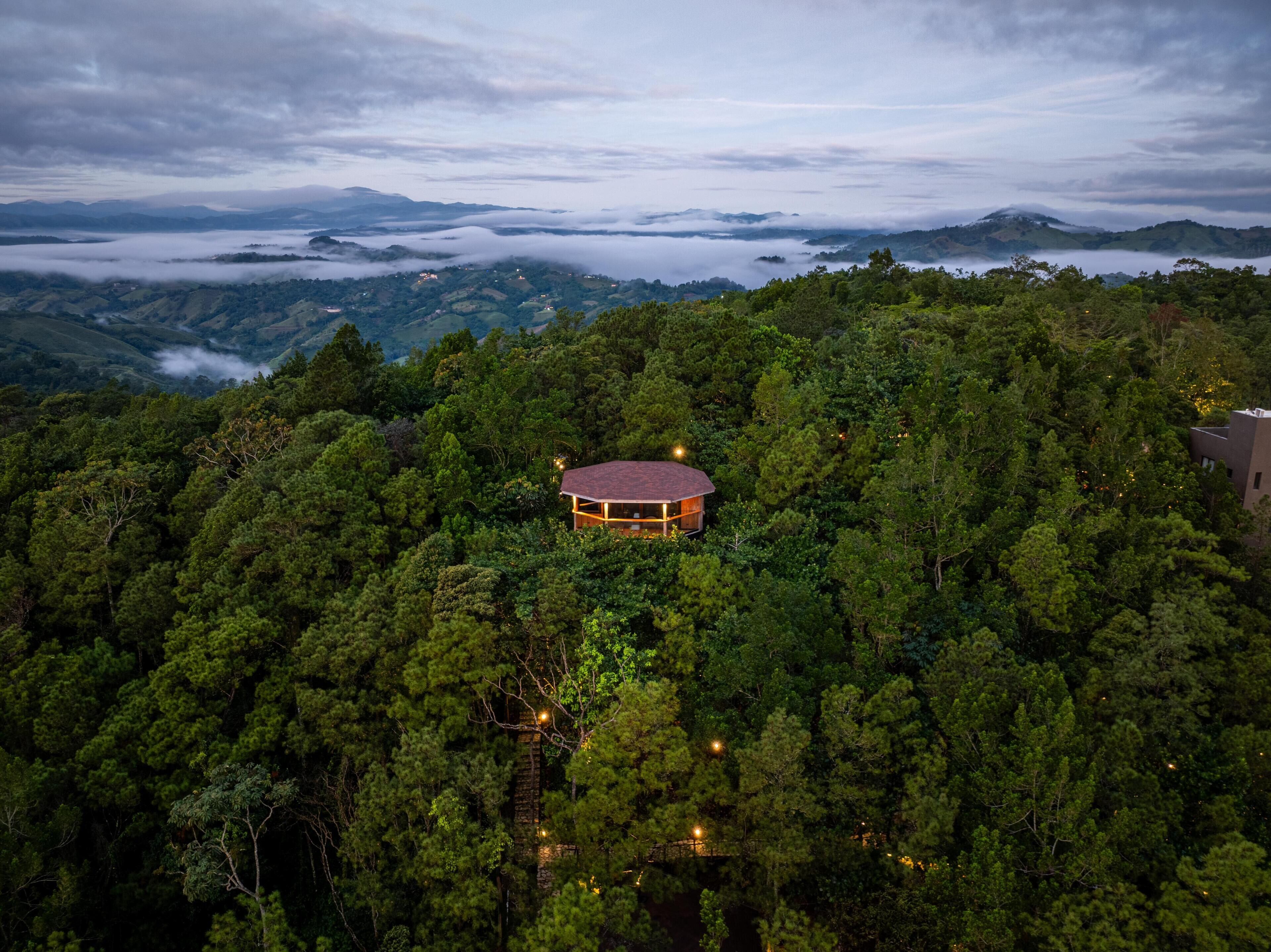 Tree House Deluxe, vue jardin