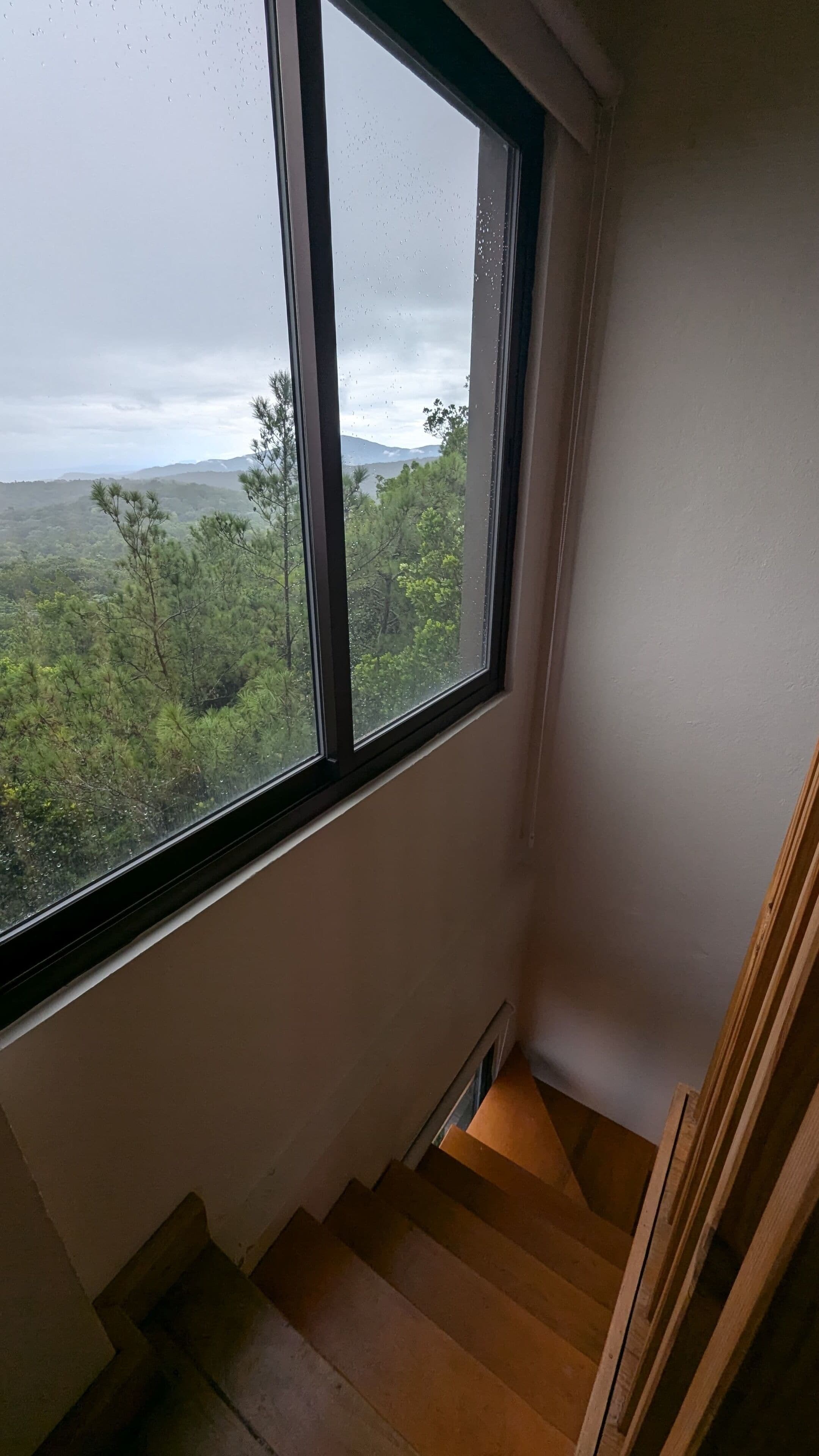 A window with a view of a forest and mountains.