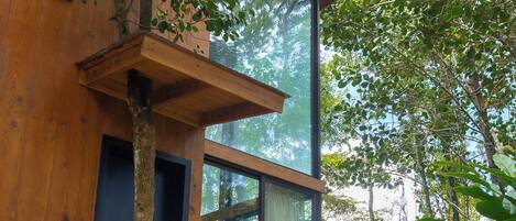 Una casa moderna con piscina, fachada de madera y grandes ventanales.