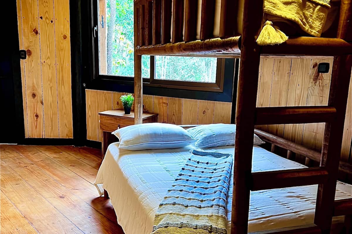 A wooden bunk bed with a white bedspread and pillows, a small bedside table with a plant, and a window with a view of greenery.