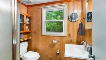 Shower, hair dryer, soap, toilet paper