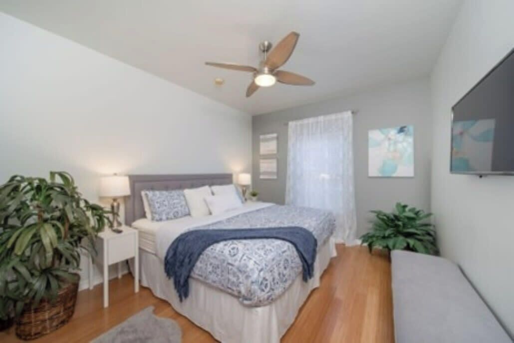 A bedroom with a bed, bedside tables, a ceiling fan, and a large potted plant.