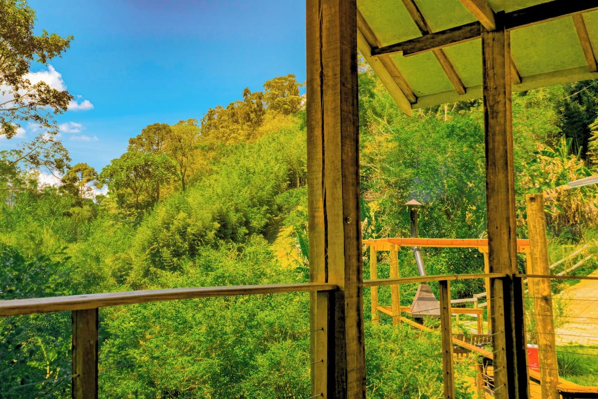 A wooden structure with a view of dense green foliage and a clear blue sky.