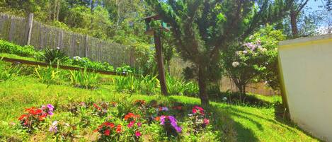 A garden with a variety of flowers and a wooden fence.