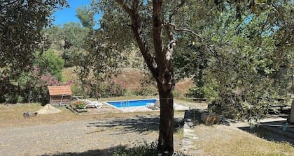 Togo iztuzu Stonehouse-5