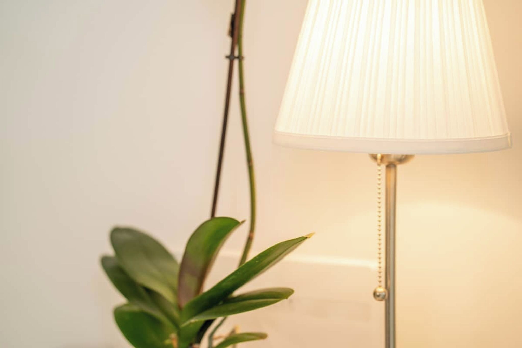 Innvendig detalj
