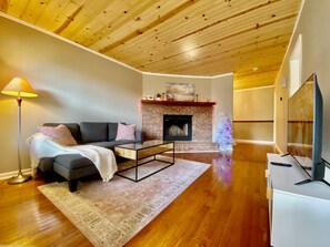 Smart TV, fireplace, books