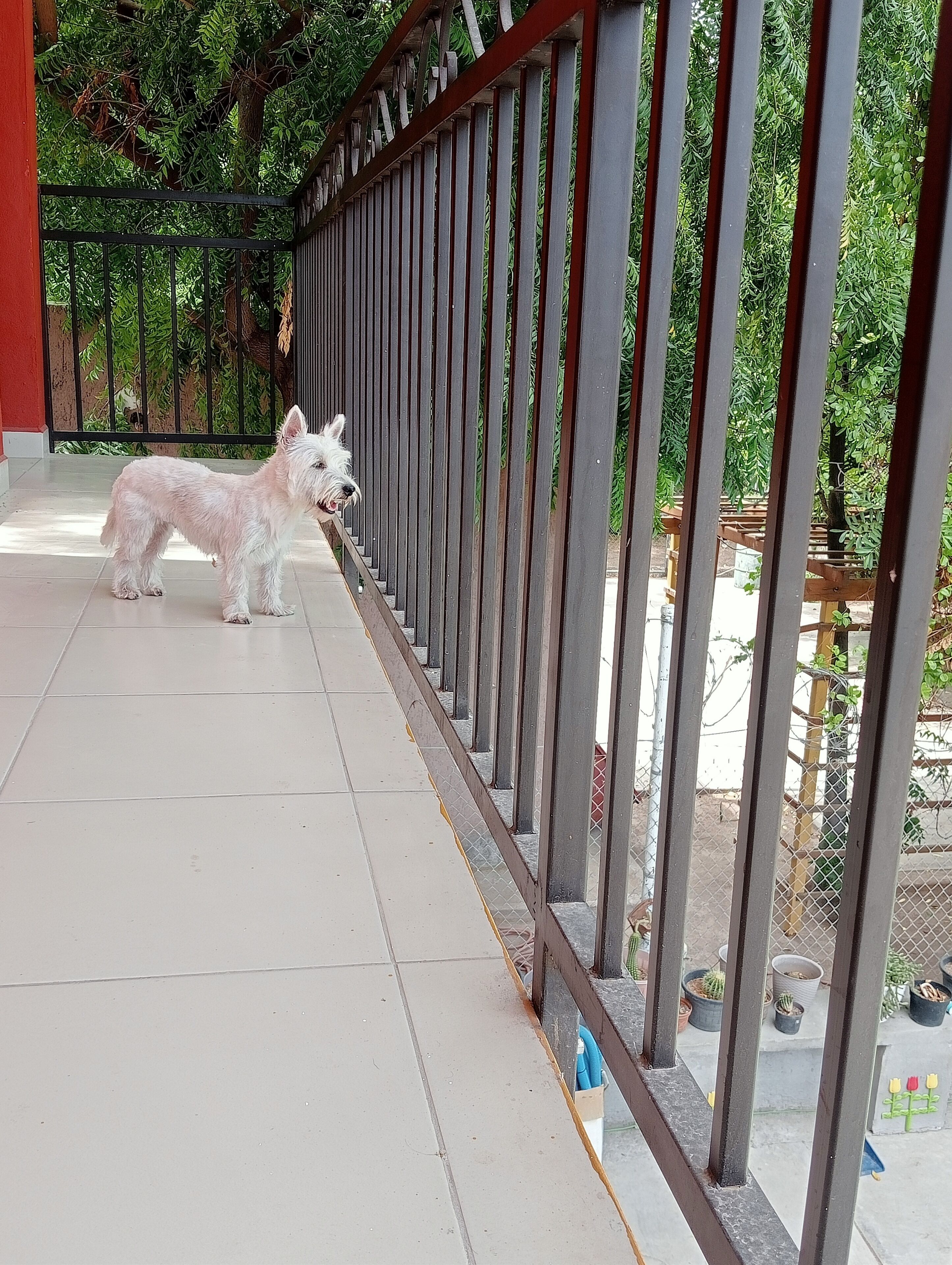 Àrea exterior de l'allotjament