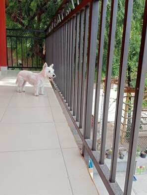 المنطقة المحيطة بالمنشأة