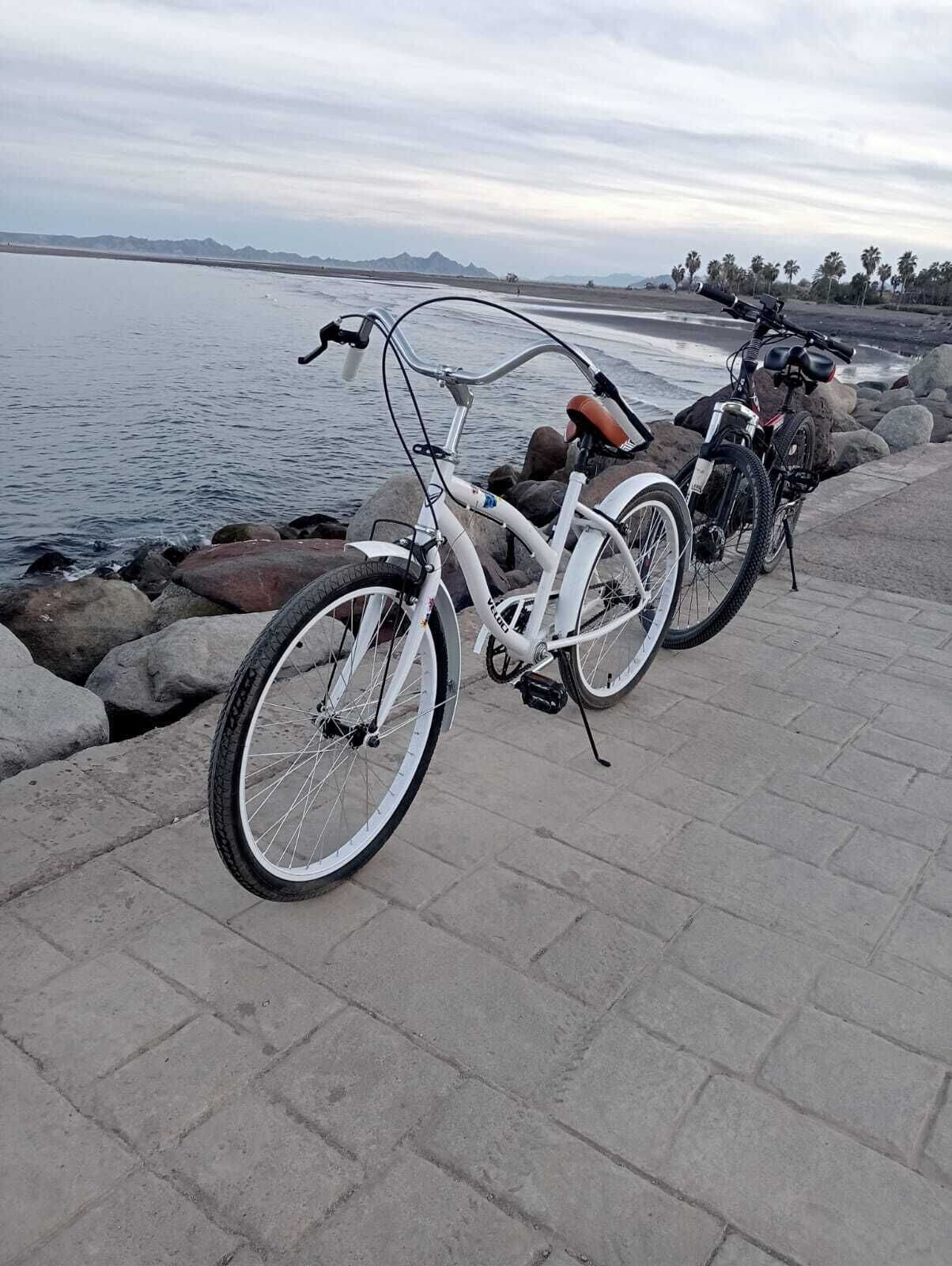 A white bicycle parked on a paved area near a body of water with rocks and palm trees in the background.