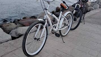 A white bicycle parked on a paved area near a body of water with rocks and palm trees in the background.