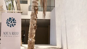 Señal de Aqua Reef Sayulita, con una palmera al frente.