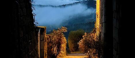 Utsikt från boendet