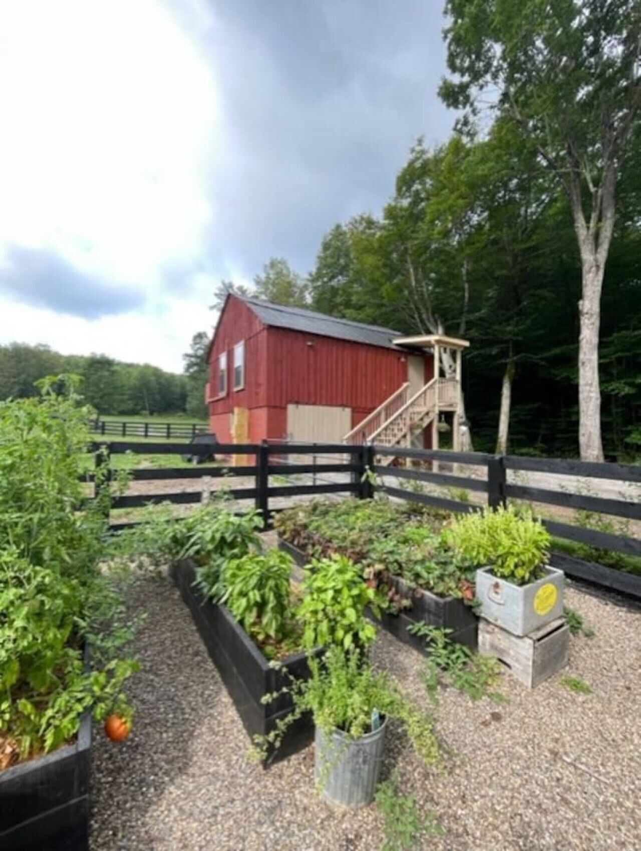 Terrein van de accommodatie