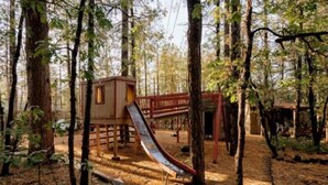 A playground with a slide and a wooden playhouse in a forested area. - Northwoods (#9) Cabin in the Pines (Pinetop-Lakeside)