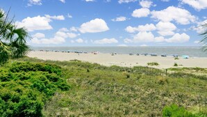 Ein Strand mit blauem Himmel, Palmen und Strandsonnenschirmen.