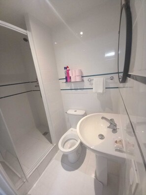 Shower, towels, toilet paper