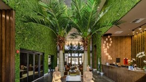 Eine Lobby mit grüner Wand, Palmen, einer Rezeption und einer Sitzecke.