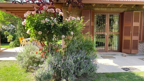 Garden, barbecue and swimming pool, in Chacras de Coria, wineries and mountains area.