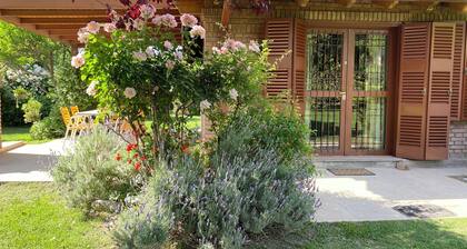 Garden, barbecue and swimming pool, in Chacras de Coria, wineries and mountains area.