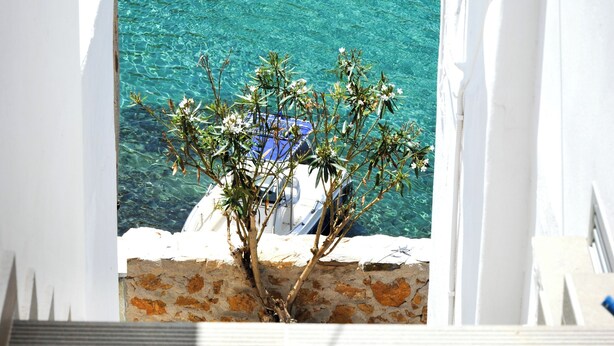 Vista d'un mar turquesa translúcid des d'un edifici blanc amb terra de rajola i una petita planta al primer pla.