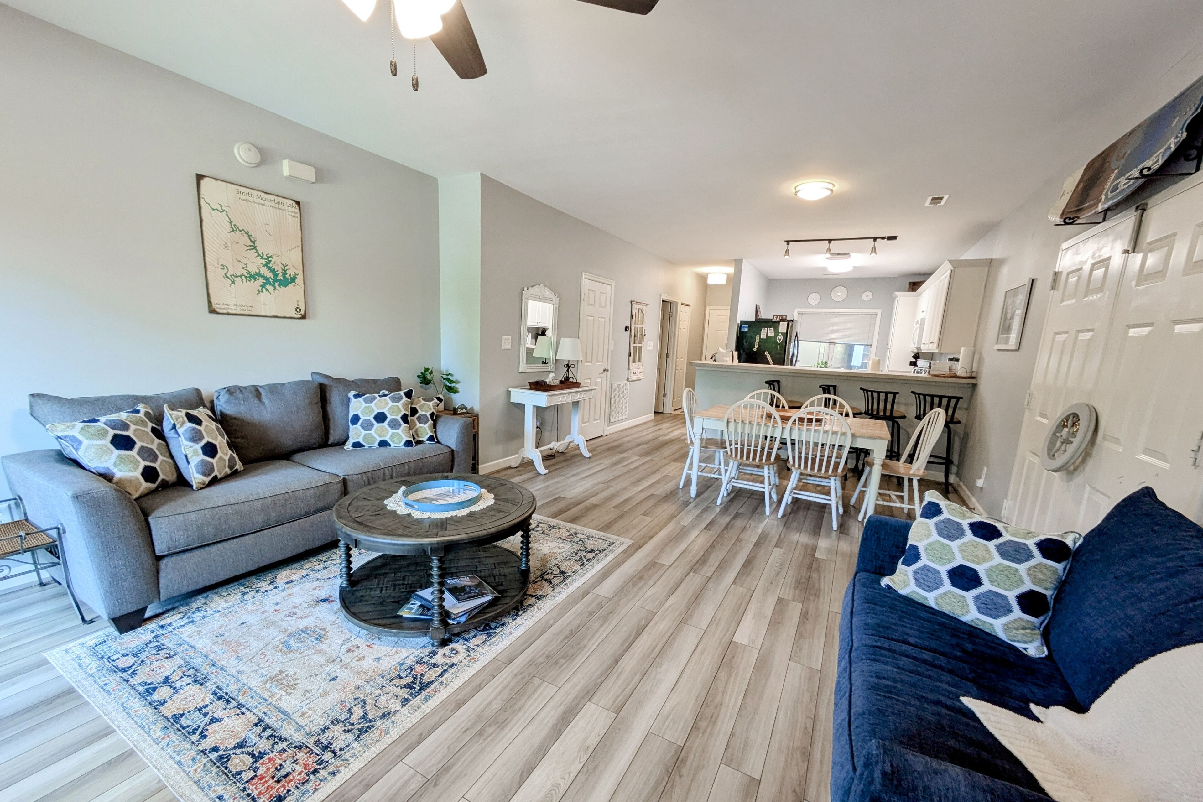 电视、壁炉、DVD 播放器