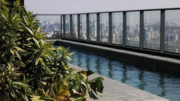 Una piscina al aire libre, sombrillas, sillones reclinables de piscina