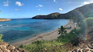 Une plage à l’eau d’un bleu limpide, avec un rivage sablonneux et un palmier.