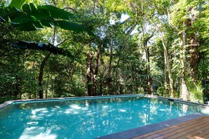 Pool - TreeTops by the Sea (Bingil Bay)