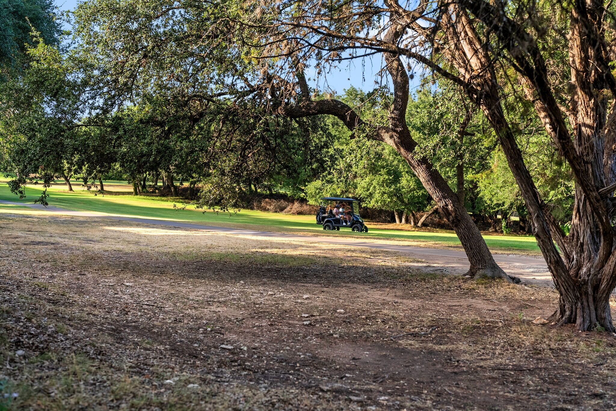 A golf course with a dirt path, trees, and a golf cart in the distance.