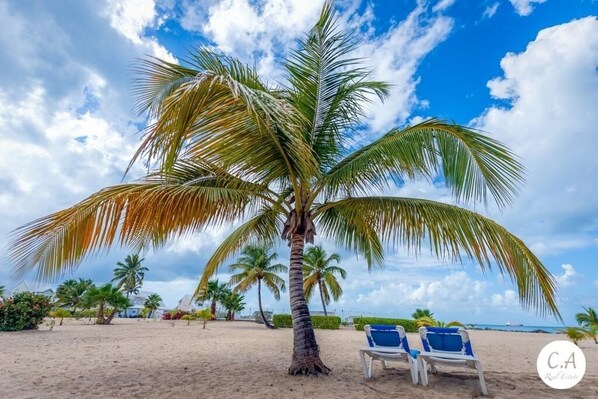 On the beach - PURA VIDA between lagoon and sea (Les Terres Basses)
