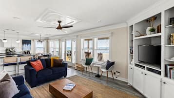 Smart TV, fireplace, DVD player, books