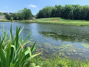 A golf course with a pond, trees, and houses in the background.