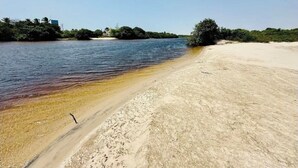 A beach with clear water, sandy shore, and dense greenery in the background.